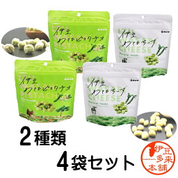 【送料無料】★伊豆わさびスナックセット（わさびピスタチオ40g×2袋　わさびチーズ30g×2袋合計4個のセット）【ネコポスヤマト】静岡伊豆おすすめ土産大人気声優のYouTubeマフィア梶田と<strong>中村悠一</strong>わしゃがなTV「駄菓子」で紹介★楽天スナック菓子ランキング1位★カメヤ食品