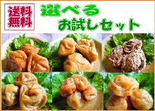 〔送料無料〕群馬県産　選べるお試しセット　90g×4【2sp_120810_green】