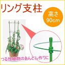 リング支柱 90cm 1個入 【RCP】【園芸】【ガーデン】【ガーデニング】【家庭菜園】【観葉植物】【支柱】【土】【野菜】【栽培】【簡単】【便利】【鉢】【竹】532P19Apr16