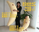 セットが割安なんです!抱き枕 バナナ♪ 大・小の親子セット販売! ワンポイントプリントで本物そっくり!発送日当日のわた入れ加工で作りたてほやほやをお届け!食べれませんのでご注意下さい。