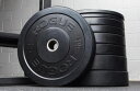 ROGUE FITNESS o[x v[gNXtBbg op[v[g EGCgteBOIsbNv[g 10KG op[v[g  a45cm  2g Rogue Fitness tBW[N {fBr     