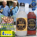 フジカンパニー 46GINGERALEアソートセット(ホワイト2本・ブラック2本)【与論島天然生姜ジンジャーエール】【RCP】J54D01【常温】