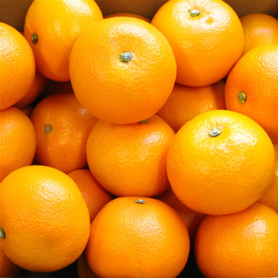 ΤʤѤ̣դ뤵ȱءȬ(Ϥä)10kg