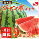 お中元 ふるさと駅 ジャンボスイカ(1玉9kg超) 甘さ大きさ生産量日本一の熊本植木産特大スイカ 送料無料贈り物 熊本県産 フルーツ お取り寄せ プレゼント お土産 ギフト プチギフト 帰省土産 お取り寄せ