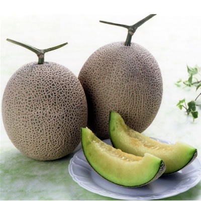 ʤΤ˭ʹȴŤդ뤵ȱءܻ⤮ƥޥ1̡ˡڷܸ