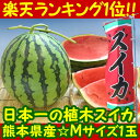 ふるさと駅　熊本産植木すいか（M 1玉）【熊本県産】楽天ランキング1位☆