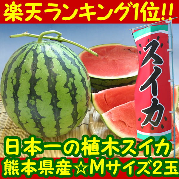 ふるさと駅　熊本産植木すいか（M 2玉）【熊本県産】楽天ランキング1位☆植木のスイカ楽天1位☆甘さ大きさ生産量が日本一の植木スイカ！