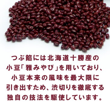 【虎屋】破れ饅頭（12個入）つぶ餡が美味しい【宮崎延岡名物】【やぶれまんじゅう】【宮崎土産】I79P02【常温】