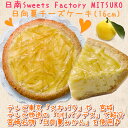 TVで紹介されました日南Sweets Factory MITSUKO日向夏みかんチーズケーキ（16cm）