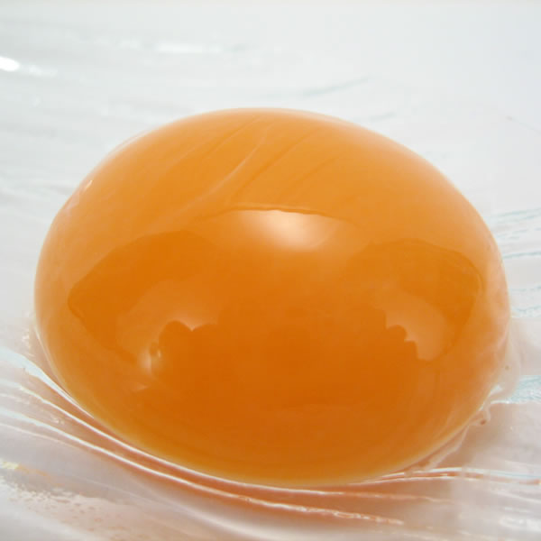 卵匠北村の卵工房 北村さんちの卵詰合せ(6個入×6パック)【送料無料】【代引不可】【大分県産】