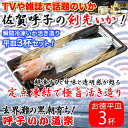 いか道楽 佐賀呼子いか活造平皿盛(3杯セット) 佐賀県産 呼子のイカ 呼子名物 佐賀名