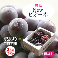 【おかちょく★おいしい秋SALE】 ご自宅用 ニューピオーネ 3~6房 送料無料 岡山 ぶどう 訳あり 農園 種なし 種無しピオーネ