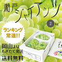 岡山産【特選】瀬戸ジャイアンツ2kg前後(3房〜4房)ぶどう^《敬老の日ギフト遅れてごめんね9/19以降発送》送料無料17-27-03