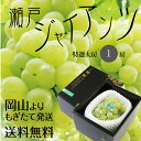 岡山産【特選】大房瀬戸ジャイアンツ1房(800g以上)ぶどう^《敬老の日ギフト遅れてごめんね9/19以降発送》送料無料17-27-11
