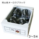 オーロラブラック ご自宅用 3〜5房 2kg前後 送料無料 ...