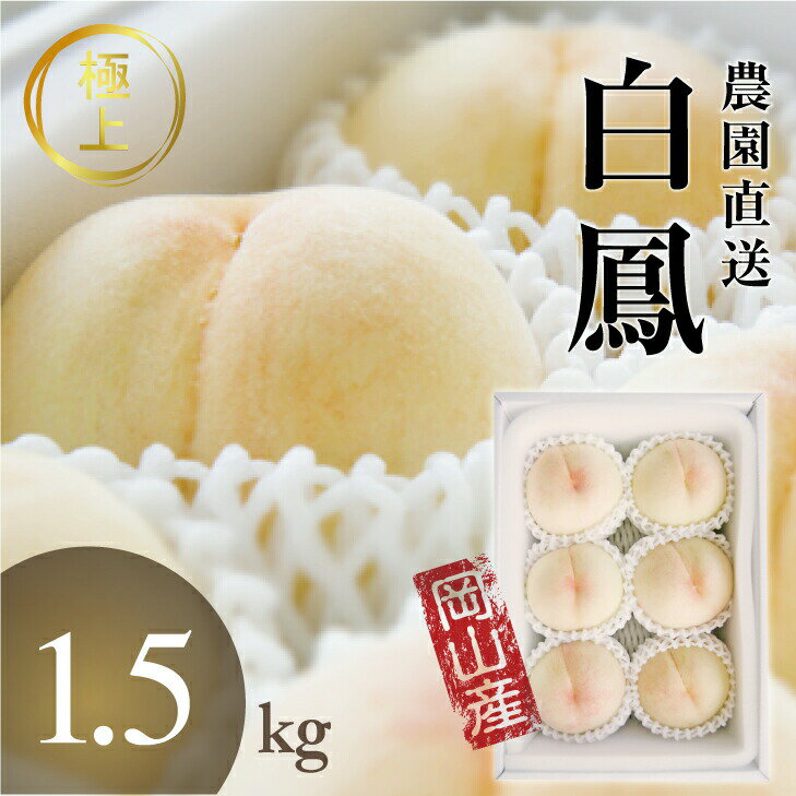 ＼6/15迄 早割300円OFFクーポン／ 秀品 <strong>桃</strong> 白<strong>桃</strong> <strong>岡山</strong>白<strong>桃</strong> 1.5kg前後 モモ もも momo 贈答用 ギフト 白鳳 はなよめ 加納岩 おかやま夢白<strong>桃</strong> 川中島白<strong>桃</strong> 産直 高級 フルーツ 果物 くだもの プレゼント 美味しい お見舞い お供え 旬 北海道沖縄一部地域配送不可