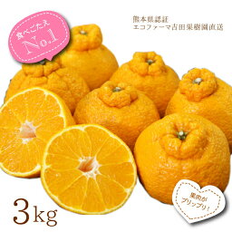 <strong>デコポン</strong> 訳あり3kg 送料無料 味濃い　でこ姫　約3kg9玉前後<strong>不知火</strong> でこぽん 柑橘 <strong>熊本</strong>三角直送 吉田果樹園 有作くんエコファーマ認定 みかん 3月上旬〜5月上旬 北海道沖縄一部地域配送不可