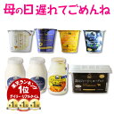 遅れてゴメンね 母の日 プレゼント お中元 ヨーグルト ギフト クリーム層のある蒜山ジ