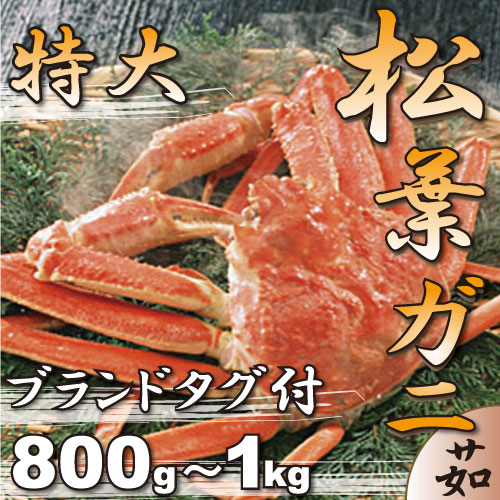 yzyΕzypzyRAE挧`Yzuh^Oty|zl䥂ŋɏ㏼tKji{C1800g?1kgj^