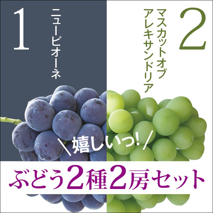 【限定100セット】【送料無料】岡山県産特選朝もぎぶどう2種2房セット　ピオーネ マスカット ^