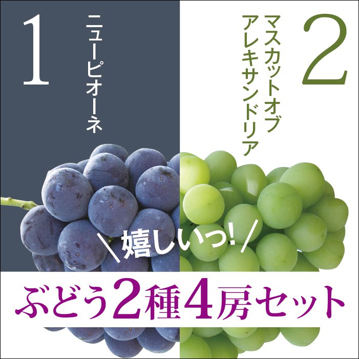 【限定100セット】【送料無料】岡山県産特選朝もぎぶどう2種4房セット　ピオーネ マスカット ^