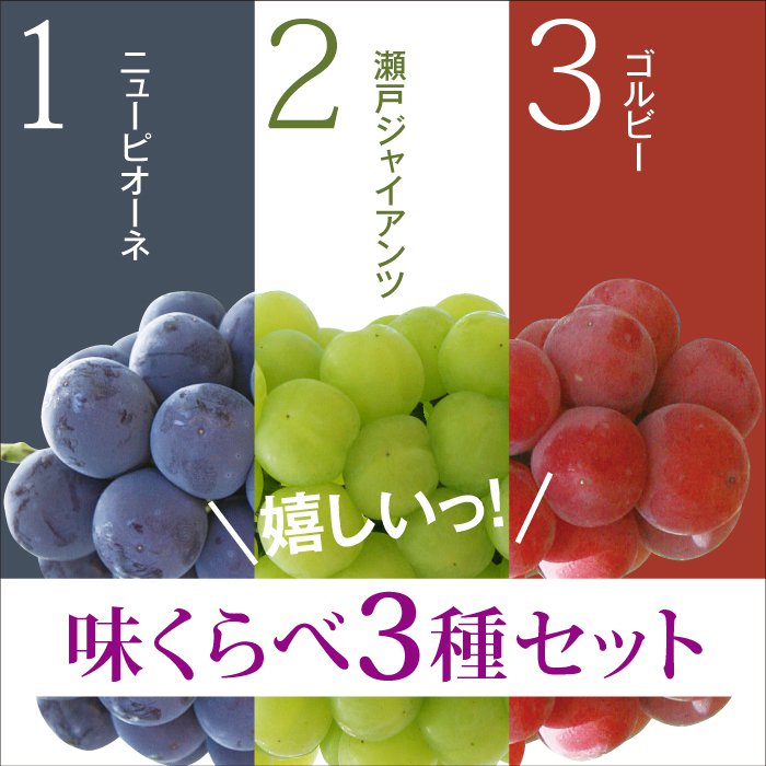 【送料無料・200箱限定・お試しセット】 岡山県産朝もぎ種なし特選ぶどう3種セット　ピオーネ 瀬戸ジャイアンツ ゴルビーを桃太郎の国から産地直送^