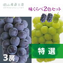 岡山産【特選】ピオーネ&瀬戸ジャイアンツ味くらべ2色セット【9月中旬〜下旬】ぶどう^送料無料【17-27-06】