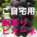 【送料無料・クール便】岡山県産・訳ありニューピオーネ2kg（ご自宅用）数量限定『桃太郎』の国から産地直送^