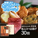 老舗の味 有村屋 極上さつま揚げ(30個)^送料無料 母の日 父の日 お中元 ギフト さつまあげ17-21-04