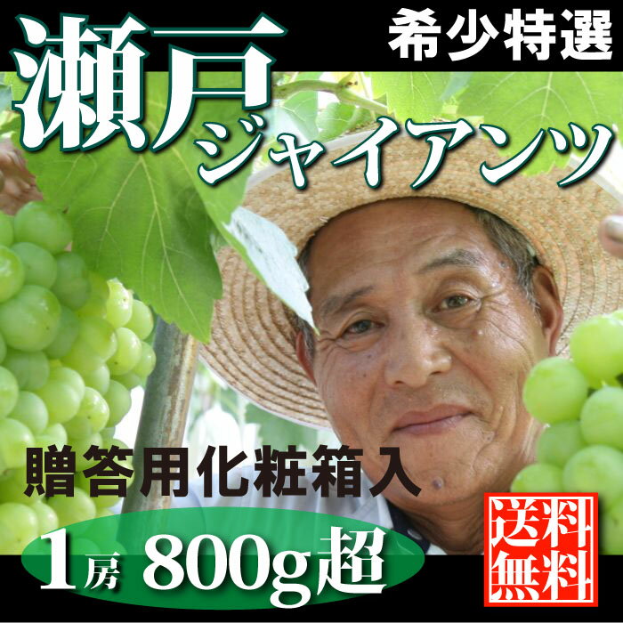 【送料無料・クール便】岡山県朝もぎ産地直送便！大粒皮ごと種なし【超特選】瀬戸ジャイアンツ特大1房（800g以上）『桃太郎』の国から産地直送^