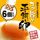 卵 コク旨濃厚 平飼い卵6個入 同梱おすすめ たまご 玉子 ...