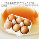 ［岡山県真庭産］コク旨濃厚　平飼い卵10個入^