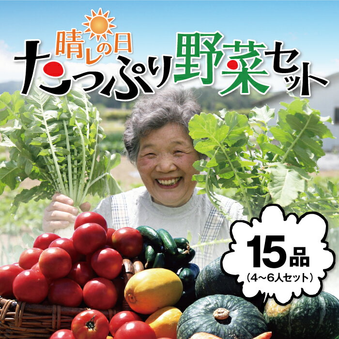 朝採りシャッキリ野菜が満タン15品でなんと送料無料の2980円！！晴れの日たっぷり野菜セット西日本/やさい/離乳食/母の日/父の日/楽ギフ/同梱送料無料/酵素ジュースに最適【smtd-kb】^