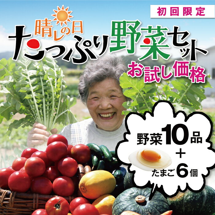 【初回限定企画】野菜10品と卵6個がなんと！1980円★送料無料（クール代別途210円）★おためし晴れの日たっぷり野菜と卵セット【西日本】満タンでお得な野菜/送料ク−ル代のみ/離乳食/母の日/楽ギフ/同梱で嬉しい送料無料/酵素ジュースに最適【smtd-kb】^岡山県真庭市すべて生産者がわかる安心野菜をお届けします。【10品・15品他】