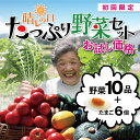 【初回限定企画】野菜10品と卵6個がなんと！1980円★送料無料（クール代別途210円）★おためし晴れの日たっぷり野菜と卵セット【西日本】満タンでお得な野菜/送料ク−ル代のみ/離乳食/母の日/楽ギフ/同梱で嬉しい送料無料/酵素ジュースに最適【smtd-kb】^