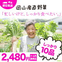 岡山産直野菜セット おまかせ10品^【送料無料】【岡山県真庭市産/岡山産/西日本/やさい/離乳食/母の日/楽ギフ/同梱/送料無料/酵素ジュースに最適/野菜販売/母の日ギフト/離乳食/母の日/楽ギフ/同梱で嬉しい送料無料/酵素ジュースに最適】