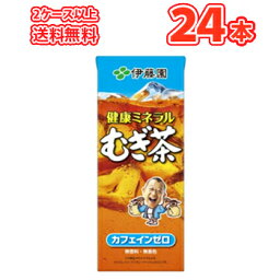 伊藤園　健康ミネラルむぎ茶　250ml×24本入　紙パック〔カフェインゼロ 麦茶 無香料　無着色〕 2ケース以上で送料無料