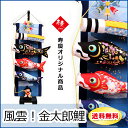 室内用 こいのぼり風雲!金太郎鯉