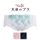 30%OFF トリンプ【Triumph】天使のブラ【スーパーCOOL】ショーツ(ヒップハンガー) TR433 PT ML