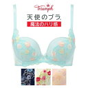 【送料無料】30%OFF トリンプ【Triumph】天使のブラ 魔法のハリ感 TR460 WHU 3/4 DEFカップブラ