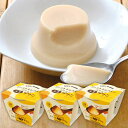 大豆プリン ローストキャラメル 100g×3個セット SOY-DOKI 大豆 スイーツ お菓子 セット 低カロリー ダイエット ヘルシー 食物繊維
