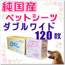 純国産ペットシーツ　ダブルワイドサイズ120枚入※送料無料※あす楽対応spr05P05Apr13薄型なのに吸収力アリ！ニオイ対応♪安心の高品質ポリマー入！スーパーワイドサイズ！