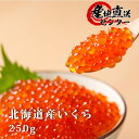 【北海道産】いくら醤油漬け 250g 天然貴重な一番手イクラ使用【化粧箱入】〔ギフト 贈答 海鮮丼 いくら丼 お歳暮 御歳暮 年末〕