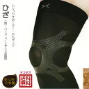 スポーツ大好き！でも痛みが・・・日本の靴下トップメーカー作成のホルザックは、きっとあなたの力になります！　付け心地地良く患部はしっかり固定 ネコポス・ゆうパケットにて送料無料