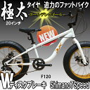 【送料無料】迫力の極太 ファットバイク Wディスクブレーキ 3D立体フレーム Shimno7Speed 20インチ20x4.1/4 FATBIKE SNOWBIKE DuXデュークスF120 GOLDENリム仕様