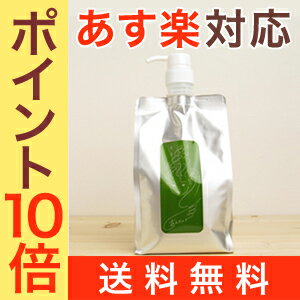 あんだんて 髪を洗うシャンプー 1000ml※専用スタンド別売り【送料無料・即日発送】（ノンシリコン　アミノ酸シャンプー　低刺激性シャンプーノンシリコンシャンプー　 【2sp_120810_green】