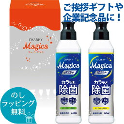 ライオン チャーミーマジカ 2本セット LCM-2V スポンジ 除菌 <strong>引っ越し</strong> <strong>挨拶</strong>ギフト ごあいさつ 台所用 キッチン 洗剤 ギフト 引越し ご<strong>挨拶</strong> <strong>粗品</strong> おすすめセット 企業記念品 寸志