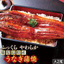 中元 ギフト 国産 うなぎ 大サイズ 蒲焼 2尾 【送料無料】 鹿児島 セット 土用の丑の