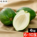 石垣珊瑚 パパイヤ 種無し 野菜 沖縄県産 約4.0kg 4玉 送料無料 青パパイヤ パパイヤ酵素