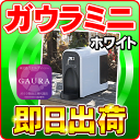 【あす楽】 ガウラミニ(GAURAmini) ホワイト 水素水生成器 水素水サーバー